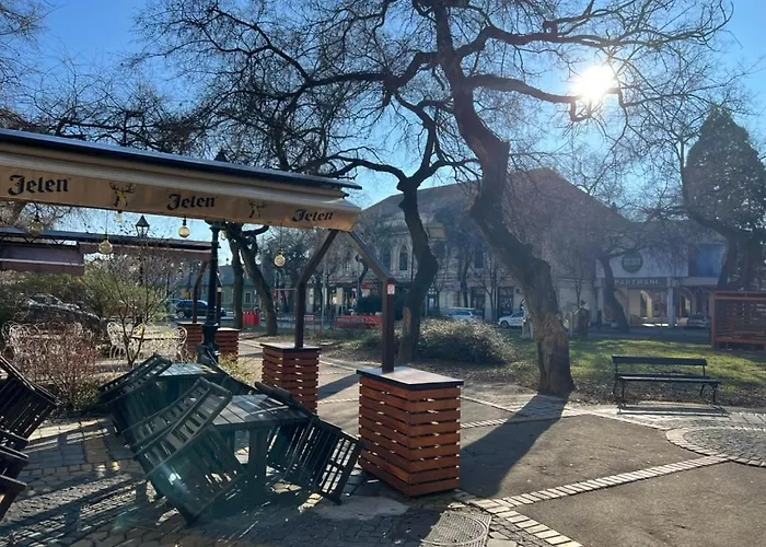 Dunja * ソンボル